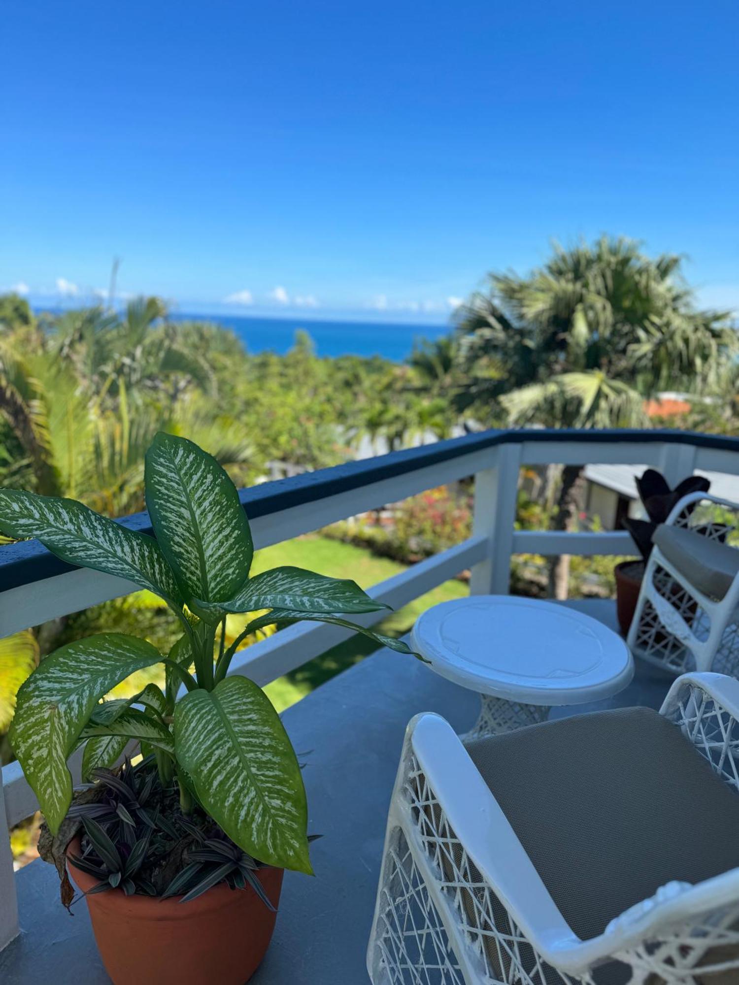 Catalina, Cabrera Oceanview Multi 2 Bd 2 Bath Condo Units With Balcony And Pool Extérieur photo